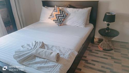 Voi Apartment | 1 Bedroom Fully Furnished Luxurious Apartment Voi Town