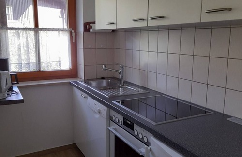 Reichenbach Apartment | 10-2 - bright vacation apartment for 4 persons with garden access - Holiday apartments in the