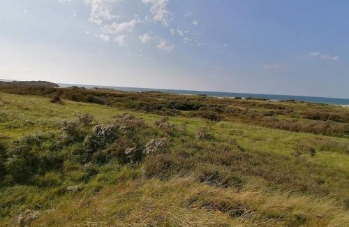 Aalbaek House | 10 person holiday home in Ålbæk-By Traum