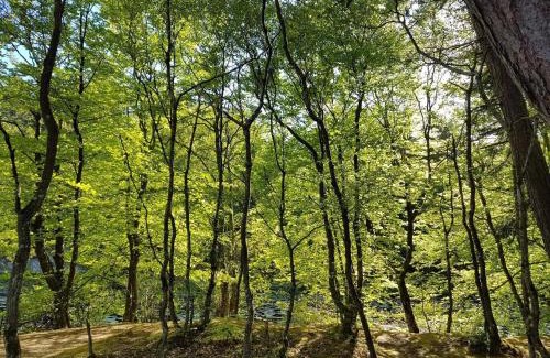 Aalbaek House | 10 person holiday home in Ålbæk-By Traum