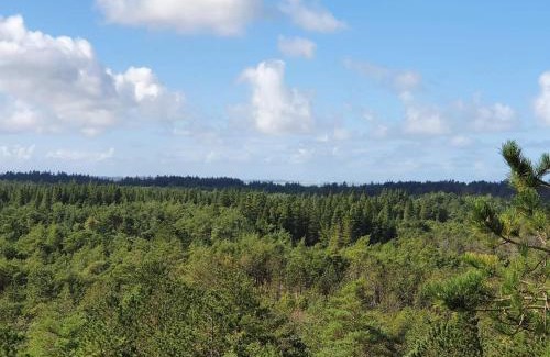 Aalbaek House | 10 person holiday home in Ålbæk-By Traum