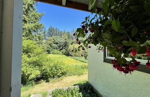 Regional District of Nanaimo Cottage | 100 year old Farm Cottage. Minutes from the beach!