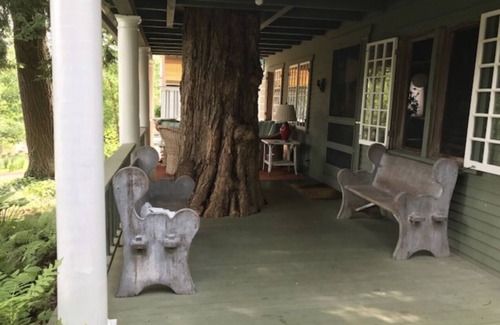 Chautauqua House | 100 YEAR OLD MAPLE TREE GROWING THROUGH FRONT PORCH
