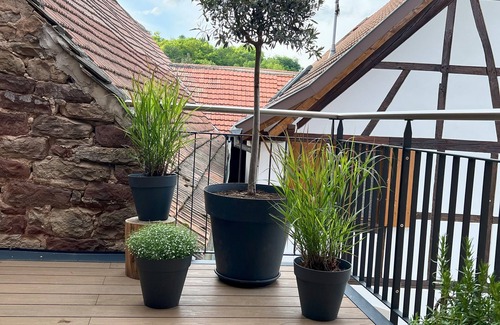 Blaesheim House | 120m² village house with 3 bedrooms and terrace, ideal for couples of friends