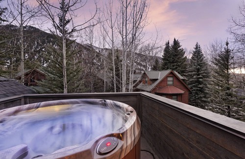 Aspen House | 12MM Aspen Residence -Walk to Town & Ski Slopes by Aspen Vacation Rentals