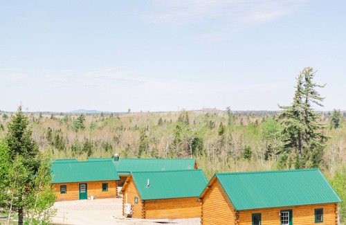 Columbia Falls Cabin | #15 Flagpole View Cabins - King Plus Cabin