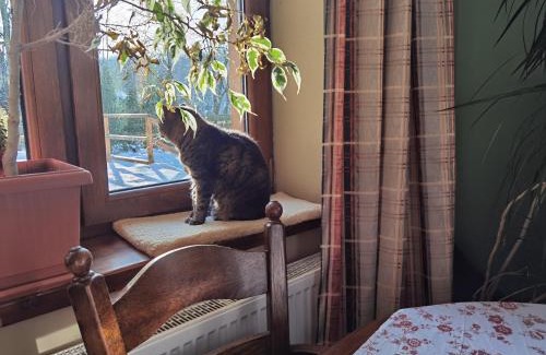 gmina Krasne Apartment | 1Bed Apartment - Sleeps 4 - Terrace Parking Pets