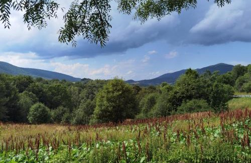 gmina Krasne Apartment | 1Bed Apartment - Sleeps 4 - Terrace Parking Pets