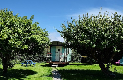 Grade Cabin | 1Bed Cabin Sleeps 2- Fireplace,Garden,Parking,Pets