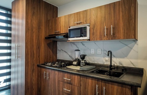 San Luis Potosi Apartment | 1BR Flat with Smart Access & Parking