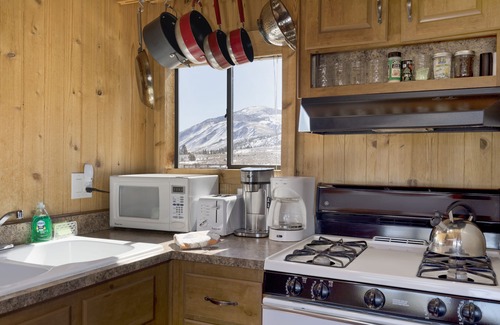 Mammoth Lakes Cabin | - 1BR tiny home—best for 2–4 guests, pet-friendly, mountain views