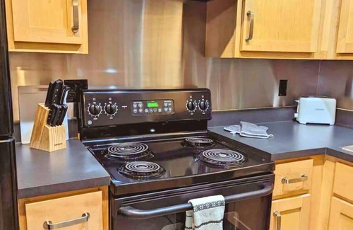 Downtown St. Louis Apartment | 1BR with W&D Mins To America Center Downtown