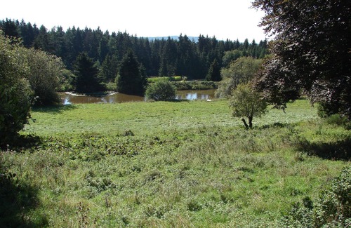 Pelm Apartment | 2-3 person site trailer, sanitary facilities in the main building - Mawile-Eifelschlaf, site trailer