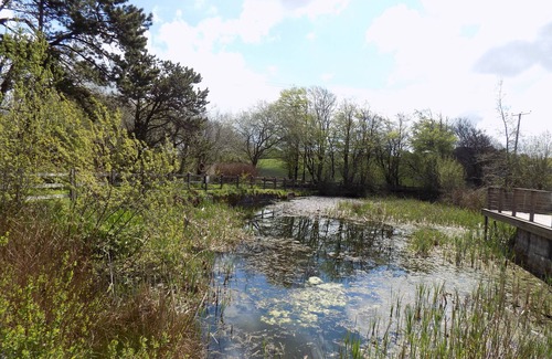 Davidstow Villa | 2-Bed Cottage, Sleeps 5, Pets Ok, Close to Coast