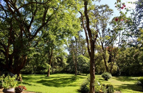 Mutare Apartment | 2 bedroomed house with a lovely garden - 2177