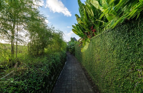 East Selemadeg Villa | 2 BR private swimming pool 7m x 3.5m