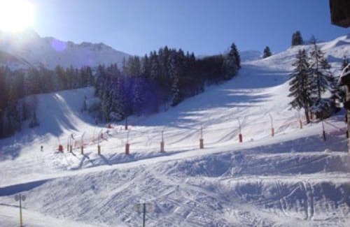 Les Avanchers-Valmorel Apartment | 2 pièces à Valmorel, proche pistes & ESF, balcon - FR-1-356-226