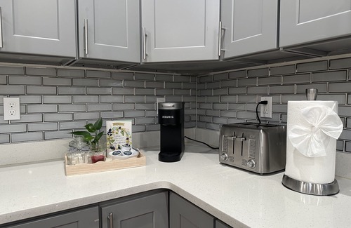 Dudley - Brunswick King Apartment | 233-1 4BR - Boston Cozy Apt near Park Zoo