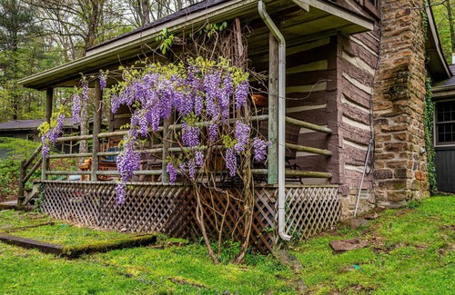 Helmsburg Cabin | 2BR+, 2 BA