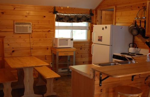 Nevis Cabin | 2BR Cabin Nestled in Towering Pines on a quiet lake. Pets accepted!