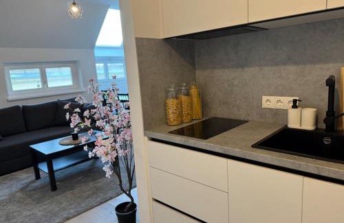 Dobling Apartment | 2BR, Danube, Kahlenberg, Historic - FHG 16