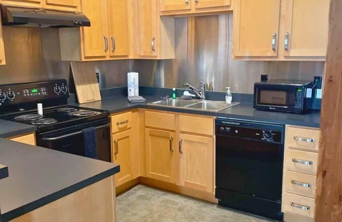 Downtown St. Louis Apartment | 2BR with W&D Mins To Arch STL Downtown