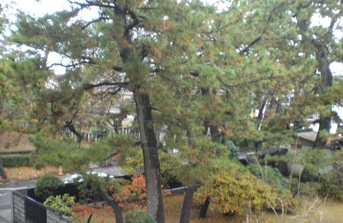 Numazu House | 2F chartered 4K type Numazu Port area Numazu P/Numazu Shizuoka