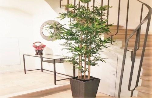 Antas Apartment | 2ºE Sweet Apartment Dowentown