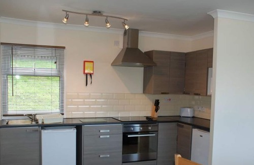 Aberaeron Ski Chalet | 3 bedroom accommodation in Gilfach-Yr-Halen