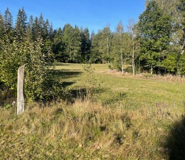 Hogsby Municipality House | 3 bedroom Forest Cabin Retreat in Högsby Småland
