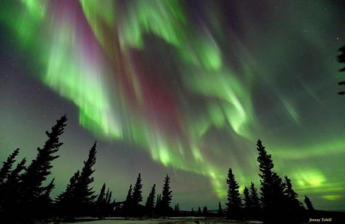 Healy House | 3 Bedroom Home with Amazing Views 11 mi from Denali