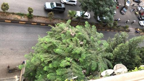 Al Duqqi Apartment | 3-bedroom hotel apartment in Dokki, a distinctive accommodation, minutes to Zamalek