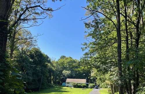 Cold Spring House | 3BR/2BA (+studio) with Yard in Beautiful Wooded Cold Spring neighborhood