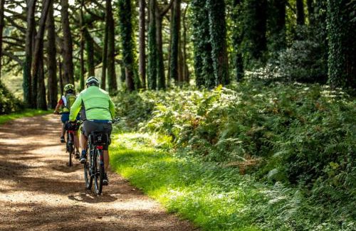 Llandovery House | 4 Bed in Halfway oc-t33077