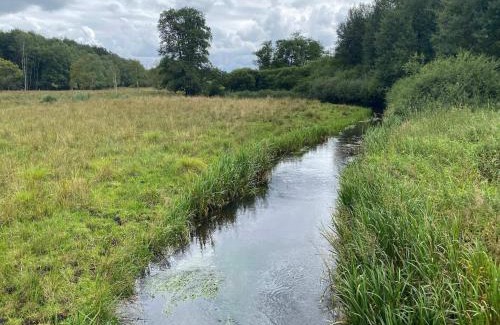 Janderup House | 4 person holiday home in Grindsted-By Traum