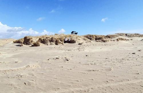 Rindby Strand House | 4 person holiday home in Fanø-By Traum