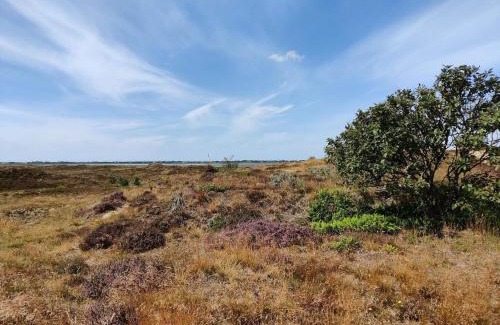 Rindby Strand House | 4 person holiday home in Fanø-By Traum