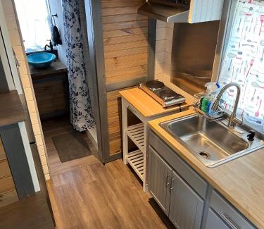 Hico House | 4 Tiny Town Modern Tiny Home Animals Fire Pit by Vacation Your Way