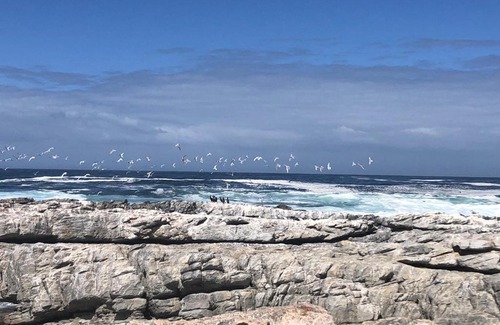 Hermanus Apartment | 43 WHALE ROCK ESTATE