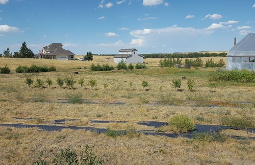 Arapahoe Other | 5-bedroom farmhouse in lovely Bennett with WiFi, AC, fitness area.nClose to DIAn