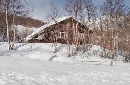 Hol Municipality House | 5 bedroom gorgeous home in Geilo
