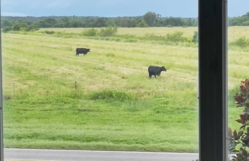 St. Cloud House | 5 mins from Kissimmee and 20 mins from the parks!