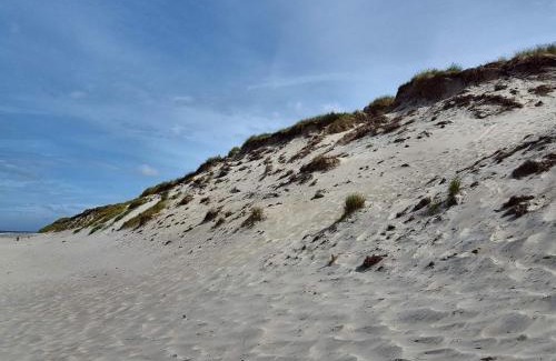 Sondervig Apartment | 6 person holiday home in Ringkøbing-By Traum