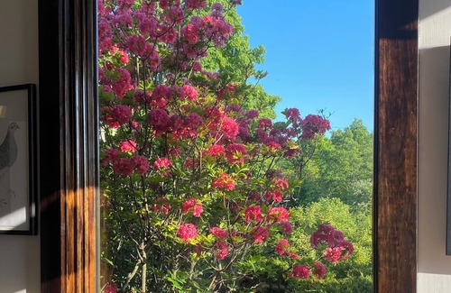 Chatham House | A BEAUTIFUL 3 BEDROOM/2.5 BATH HILLTOP HOME IDEAL FOR GREAT ESCAPES,
