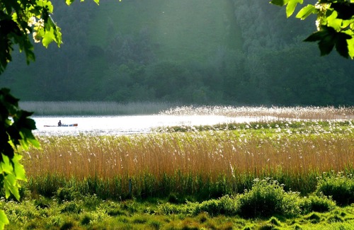 Morwellham Cottage | A cosy riverside cottage in the Devon countryside on the Edge of Dartmoor.