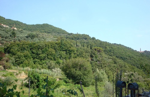 Vasia House | A detached artist's house in the middle of an olive grove, CITRA 008064-AGR-0004