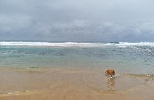 Ezembeni Apartment | A Gem in Clansthal