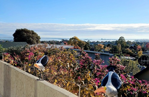 Richmond House | A large and sunny family home close to all the amenities and perfect for exploring Nelson and Tasman
