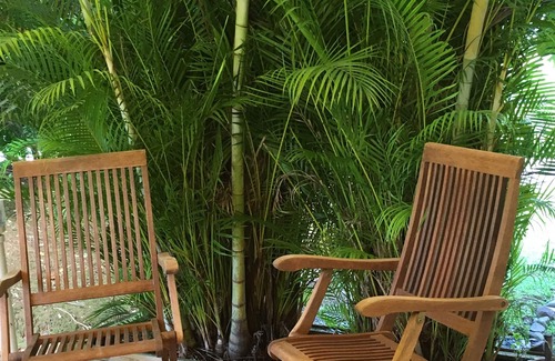 Circuit 1C1 House | A Petit Bourg, the villa "Le Bakoua" welcomes you in a tropical area!
