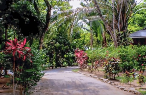 Roatan House | A Serene Island Beach Retreat With Optional Car
